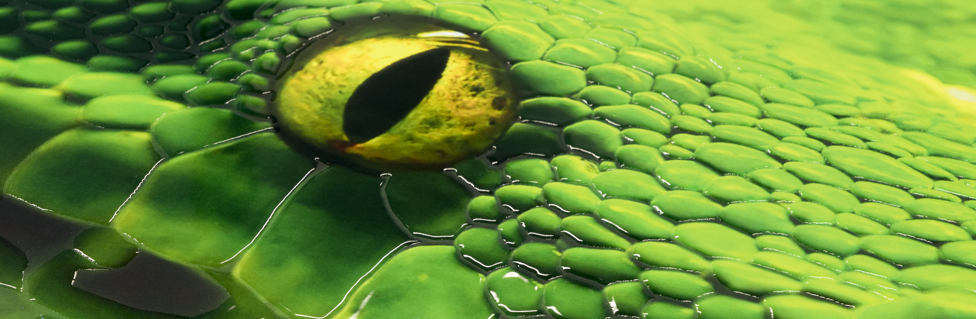 Image Banner Veredelung